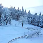 Sasanka