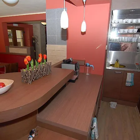 Apartament Sasanka *