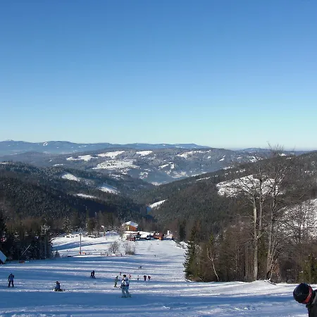 Sasanka Apartament Oszczadnica